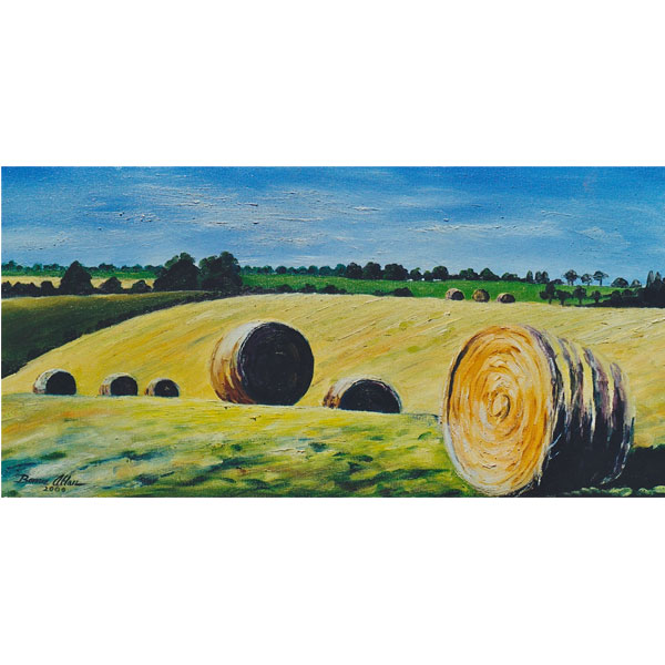 Hay Rolls with Shadows 20x40cm- SOLD